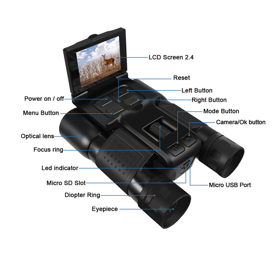 Photography Videos - 12X32 Outdoor 2.5K Digital Photography Video