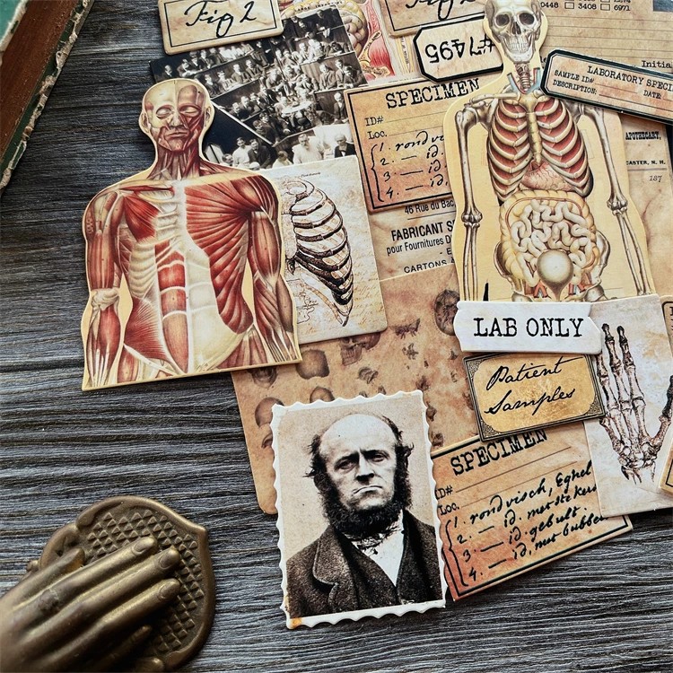 DIY Scrapbooking Vintage Doll  - Photography Journal review and price