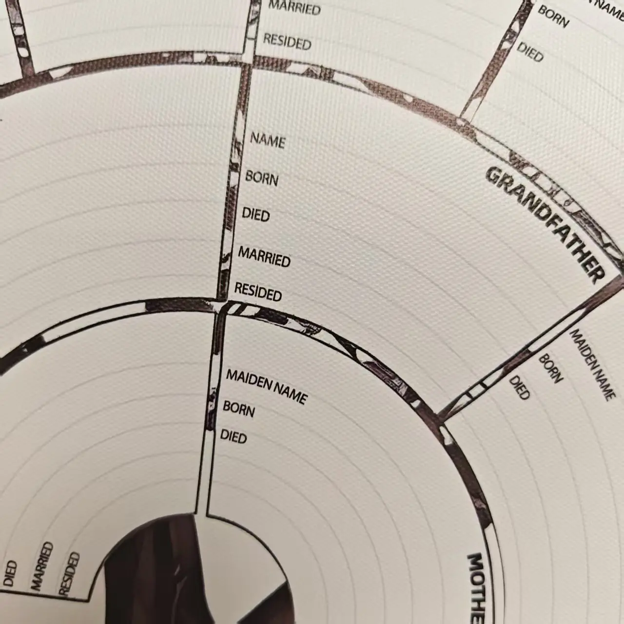 1pcs Genealogy Ancestor Chart  - Photography History review and price